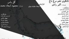 رادی و استاد محمد در منشور هنر