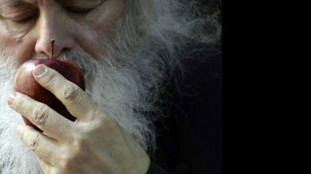 نسخه‌ های «جابر عناصری» کجاست؟