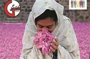 نمایشگاه عکس‌ های یک هنرمند ایرانی در آلمان