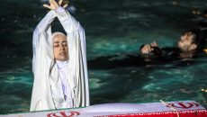 تصاویر نمایش محیطی دریادلان