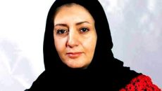 خوشبختی های کوچک سوسک شدن با شکل جدید