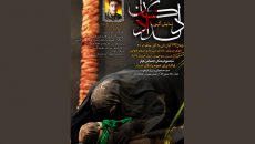 نمایش «دلدادگان» روی صحنه می‌ رود