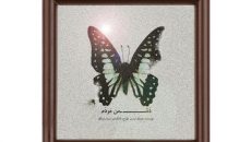 سینا راستگو «دشمن مردم» را روی صحنه می برد
