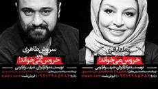 خروس‌ برای چه کسانی در سالن سمندریان می‌خواند؟!