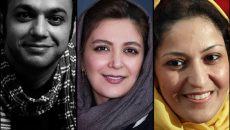 تمشک های وحشی از طلاق می گویند