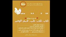 «حکایت حکایت طبیب اجباری مولیر» در تئاتر باران