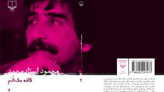 جلد دوم آثار محمود استادمحمد منتشر شد